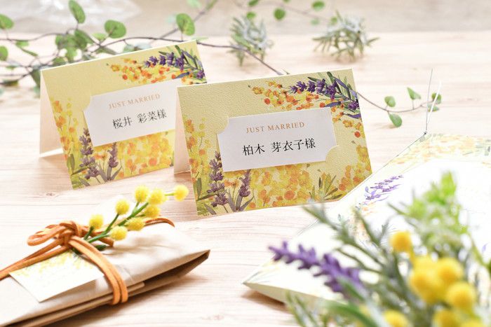 本日発売！【2019年春式必見】絶品♥ミモザの花香る新作シリーズ