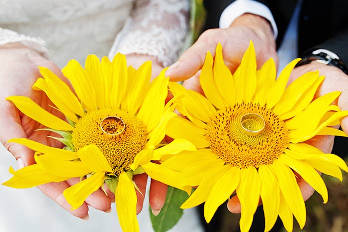 夏といえばこのお花♡元気で明るい気持ちになれる「ひまわり」に夢中♡♡