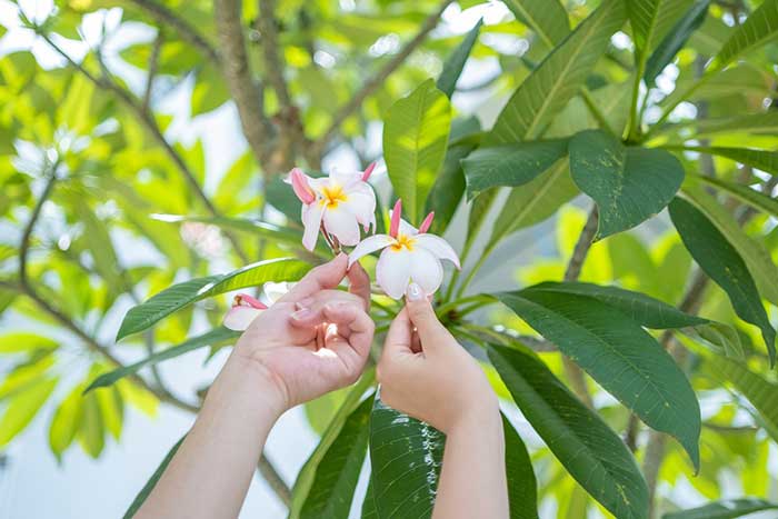 プレ花嫁リアル奮闘日記#5