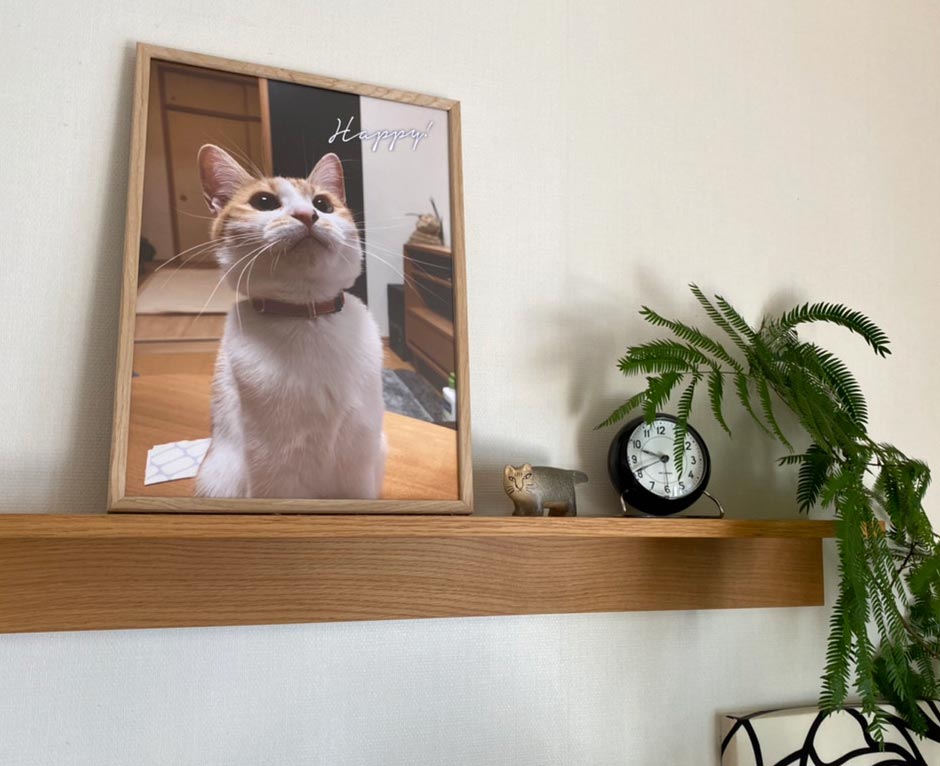 【お客様の声】愛猫の写真をポスターに！きめ細かい対応にも感動
