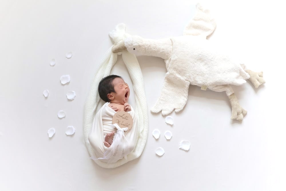 ベビーモデルフォトギャラリー♯263