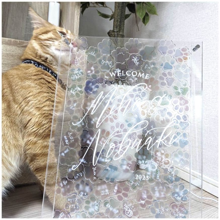 自宅に飾っている様子