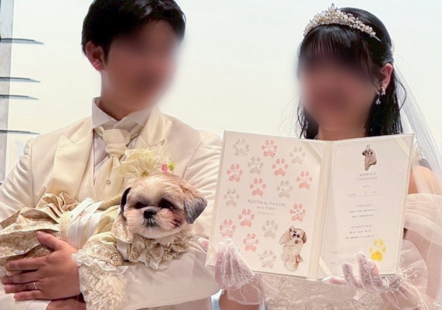 愛犬仕様オリジナル結婚証明書をご注文いただいたお客様当日の様子