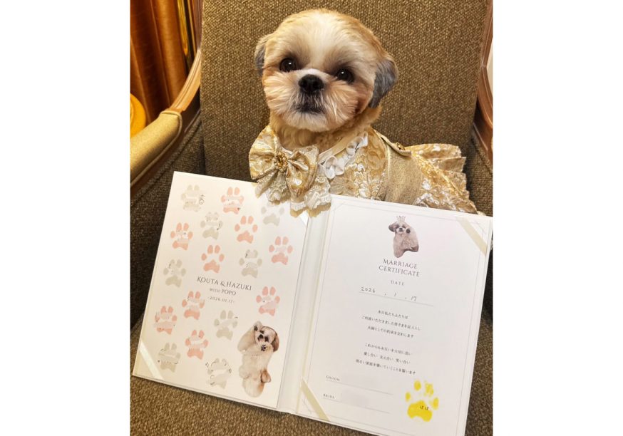 自分の写真入り結婚証明書と一緒に