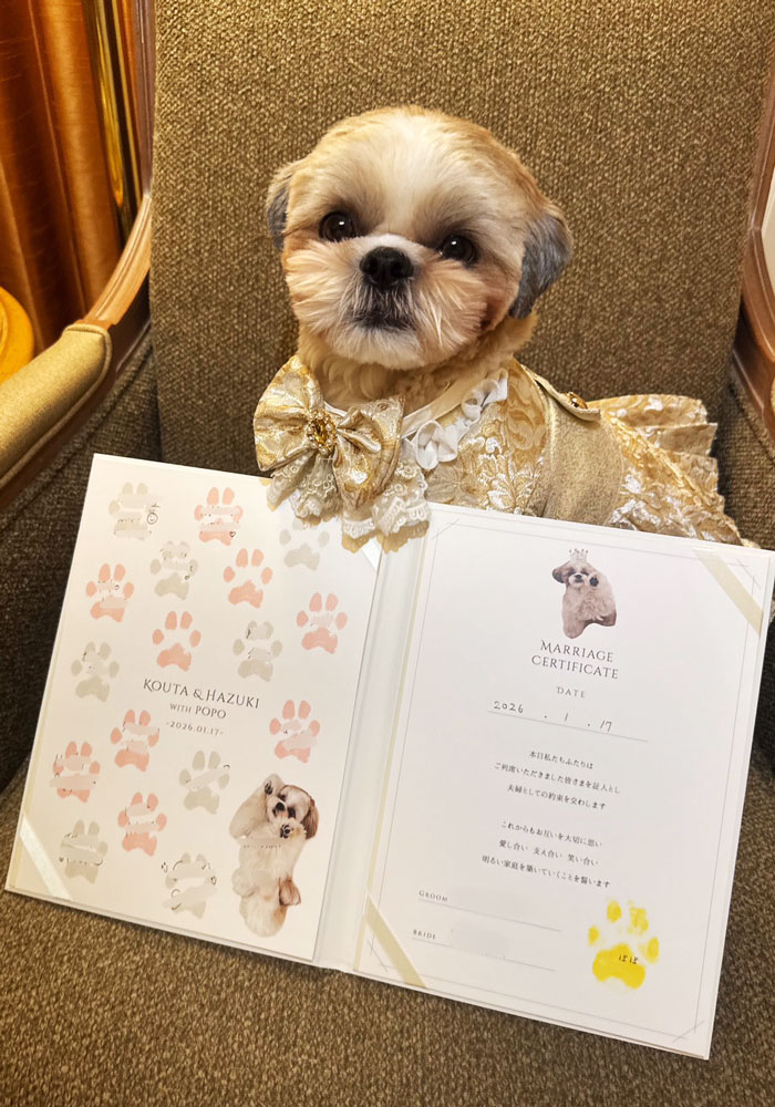 自分の写真入り結婚証明書と一緒に