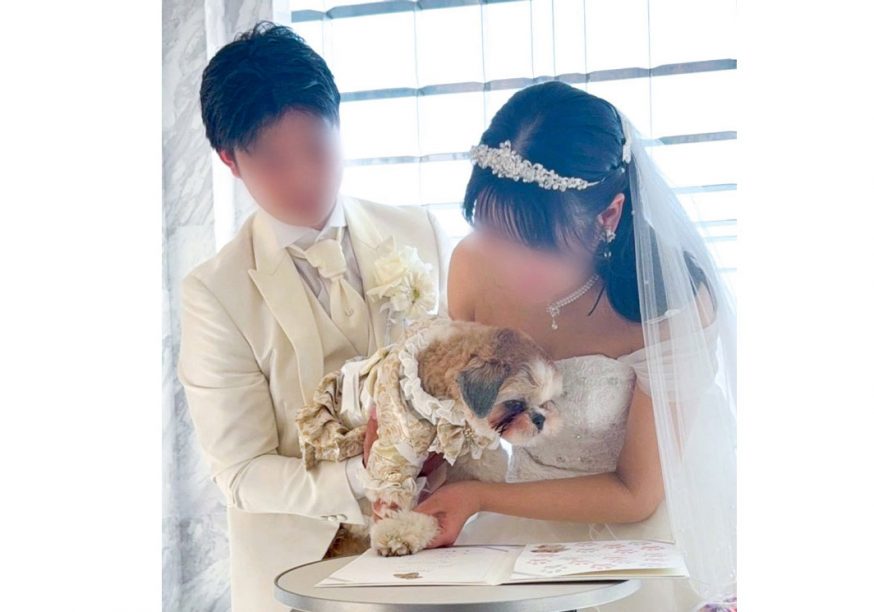 愛犬結婚証明書に肉球サインするわんちゃん