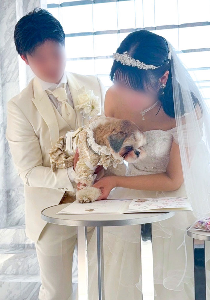 愛犬結婚証明書に肉球サインするわんちゃん