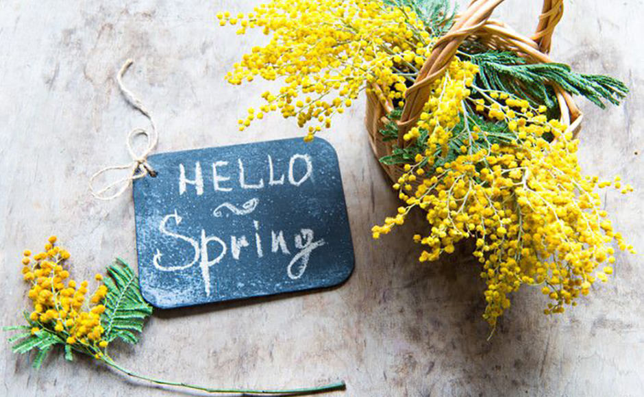 ミモザのアイテム