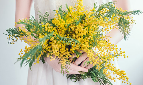 ミモザのアイテム 