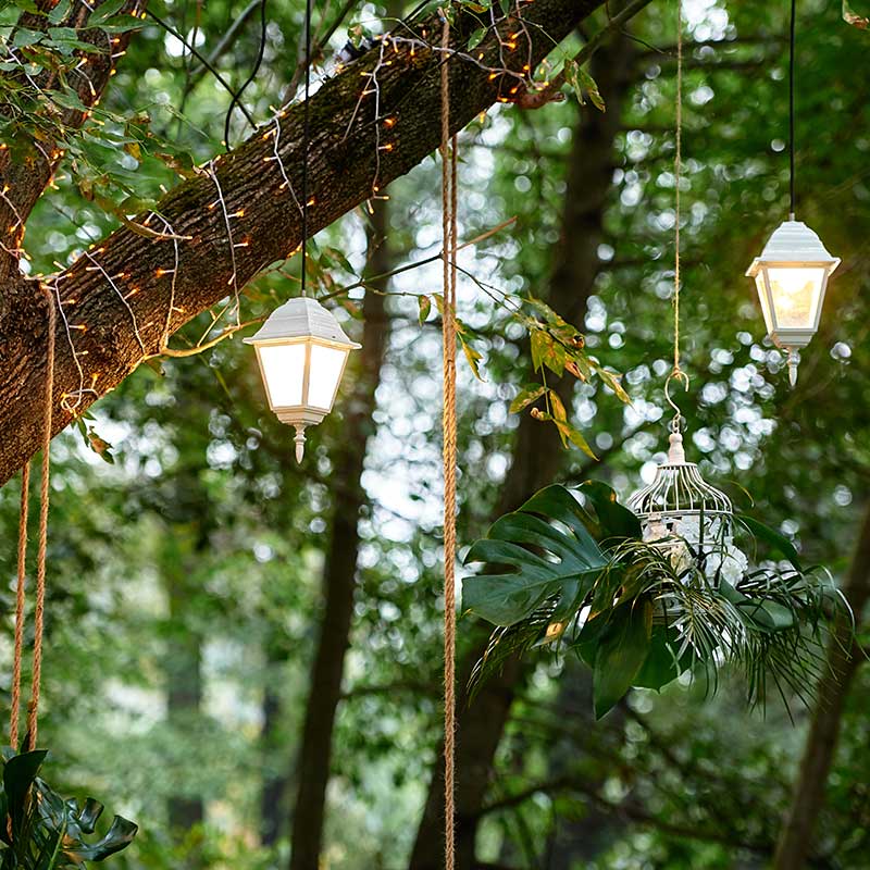 森をライトアップするランタンと照明