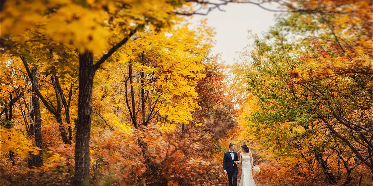 【2021年秋婚】最新招待状事情＆秋の招待状デザインまとめ