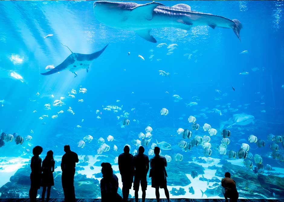 水族館の大きな水槽を眺める家族連れやカップル