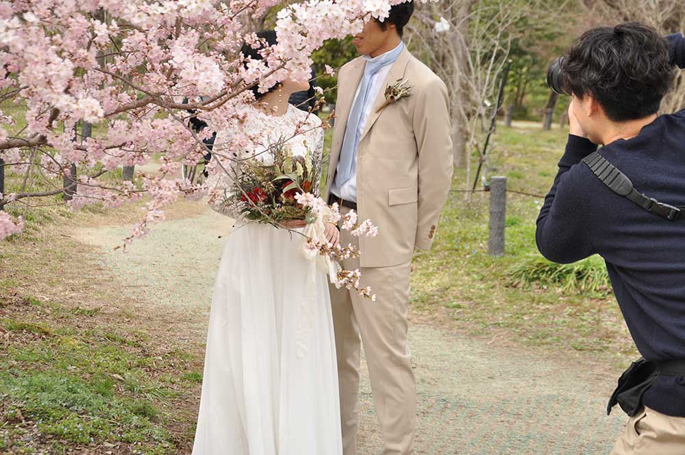 サクラの前でロケーション撮影をする新郎新婦とカメラマン