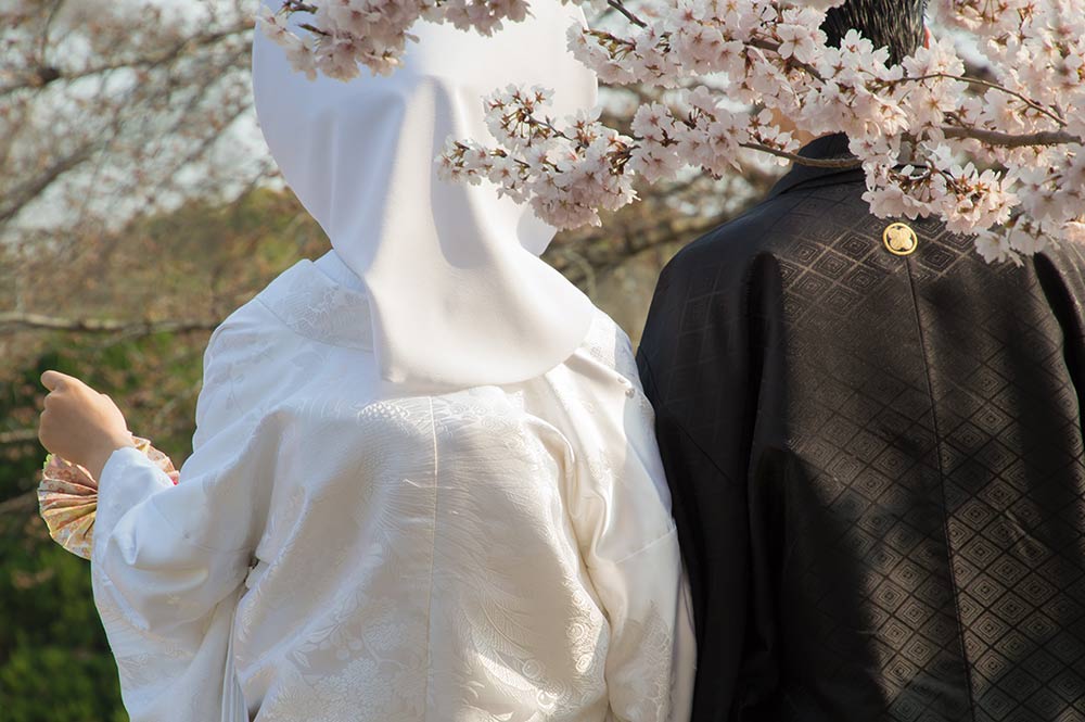 和装の新郎新婦が桜の下で結婚式