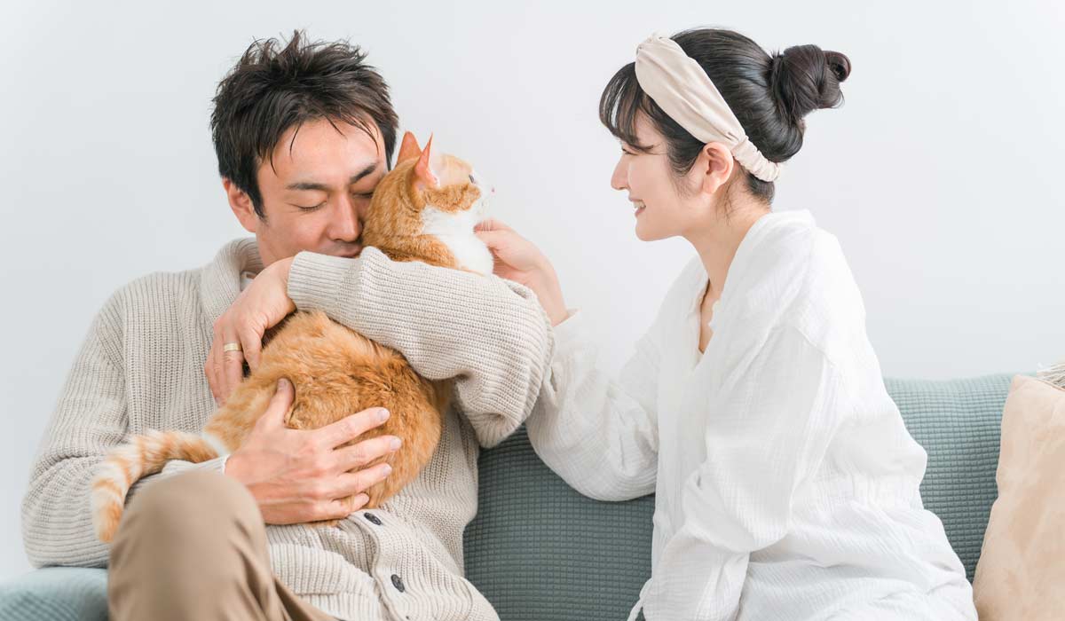 猫を愛でる男女カップル