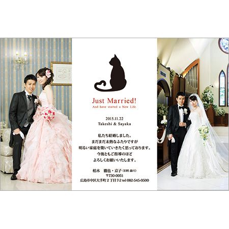 ねこウェディング特集