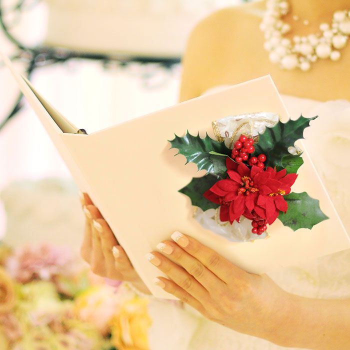 ブライズセットクリスマス