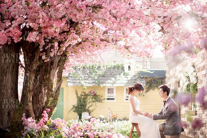 春爛漫な桜を演出に おしゃれで可憐な桜のウェディング演出6 アツメル結婚式レシピ 買える結婚式アイテム Wedding Mart ウェディングマート