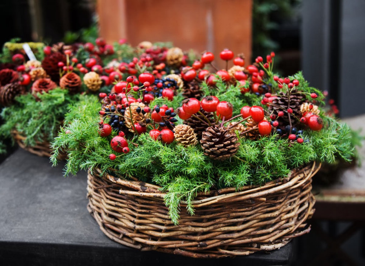 pinediy2_07-1200x874.jpg