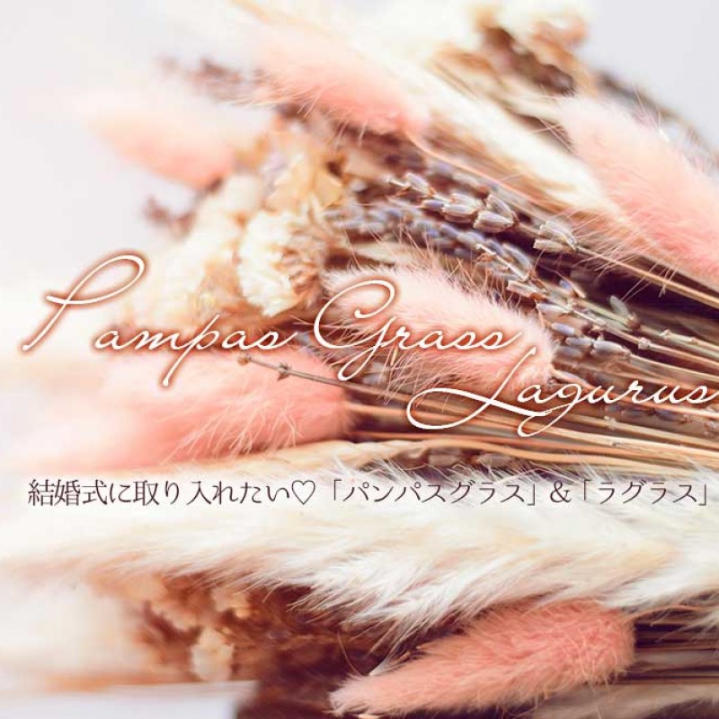 dryflowertitle_1475762387-