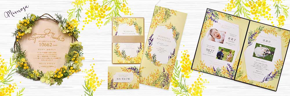 ミモザラインナップ