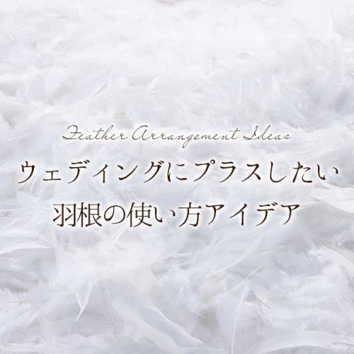 羽根アレンジ