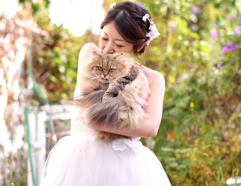 ねこと花嫁