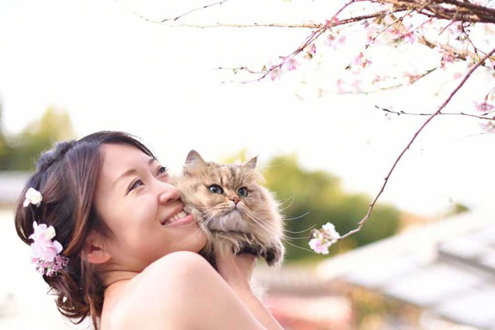 ねこと花嫁