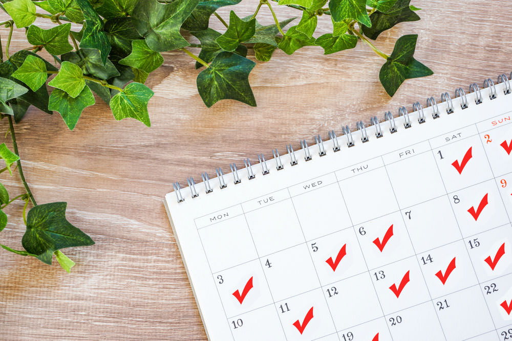 スケジュールを確認