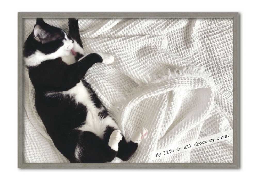 メモリアルフォトポスター「1shot cat」